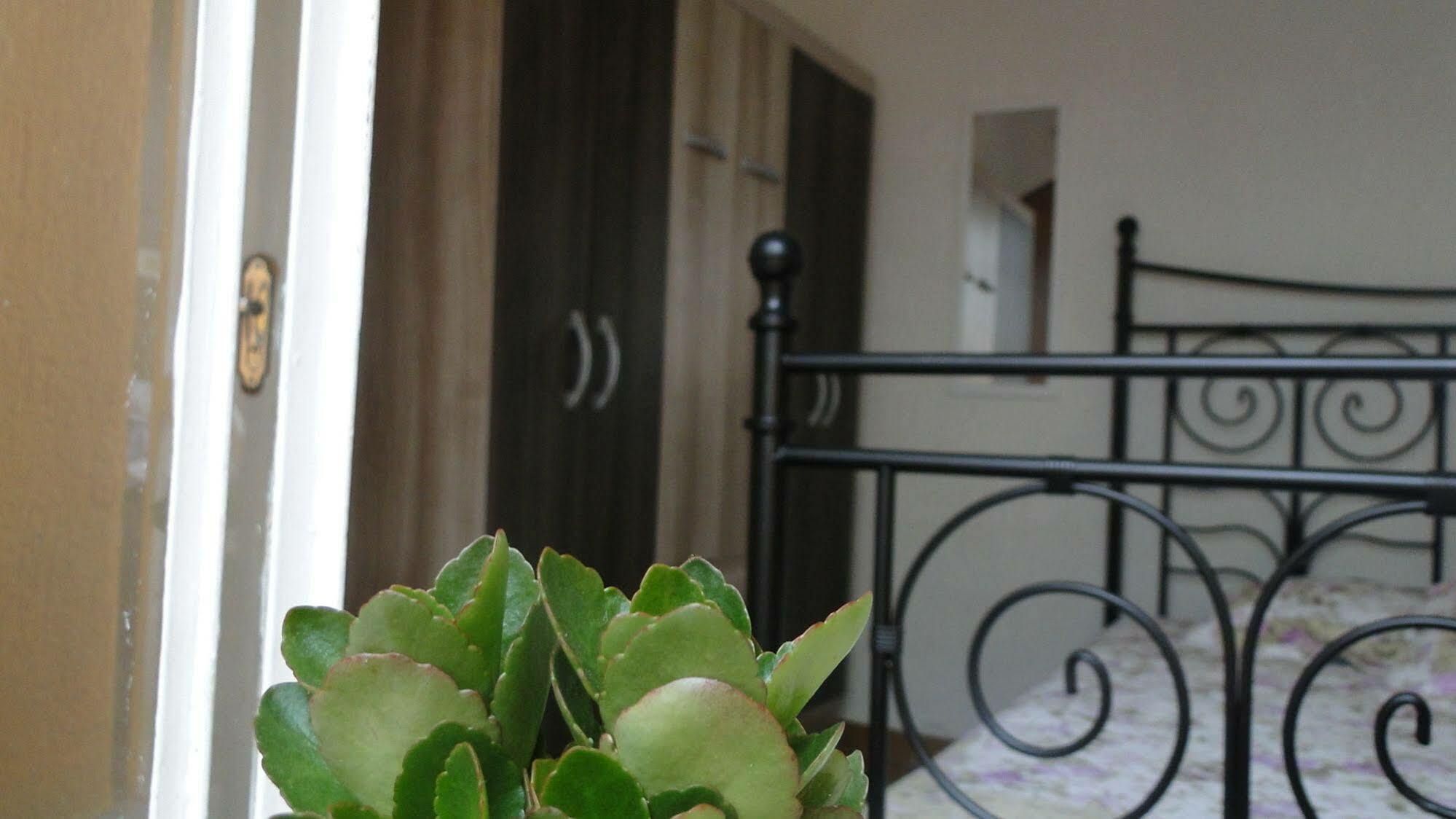 Today Hostel Σάο Πάολο Εξωτερικό φωτογραφία